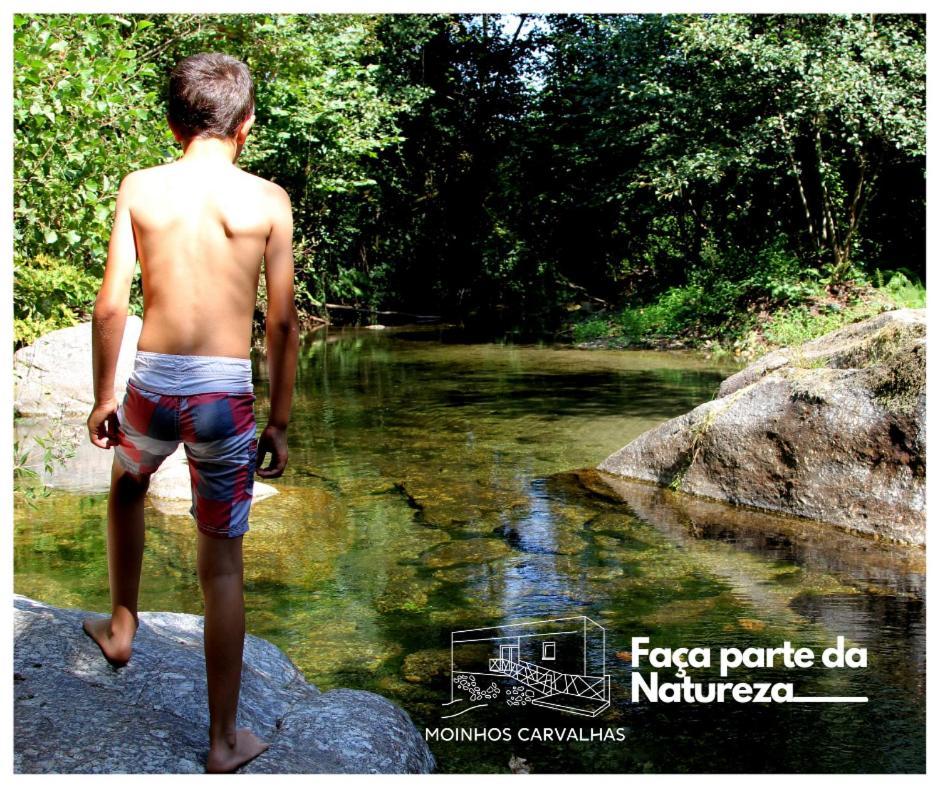 Moinhos Carvalhas Villa Arcos de Valdevez Ngoại thất bức ảnh