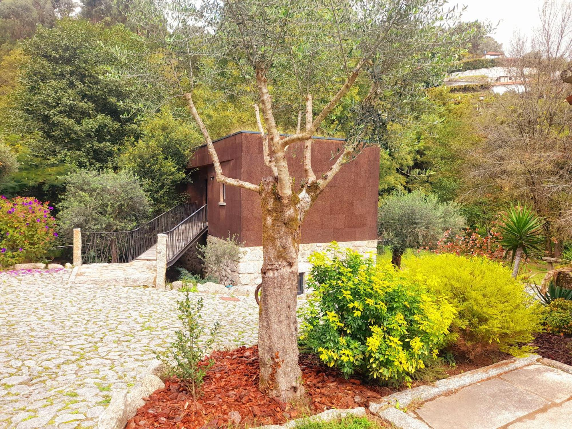 Moinhos Carvalhas Villa Arcos de Valdevez Ngoại thất bức ảnh