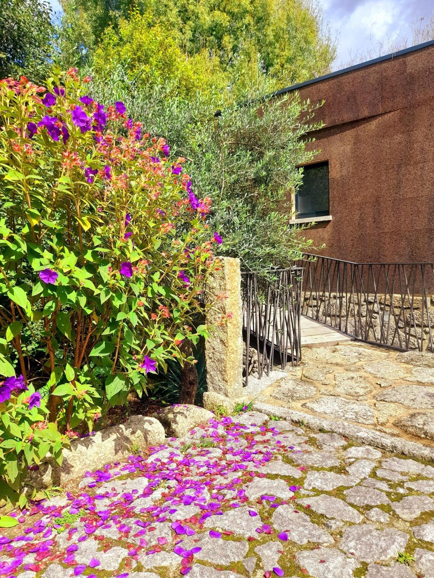 Moinhos Carvalhas Villa Arcos de Valdevez Ngoại thất bức ảnh